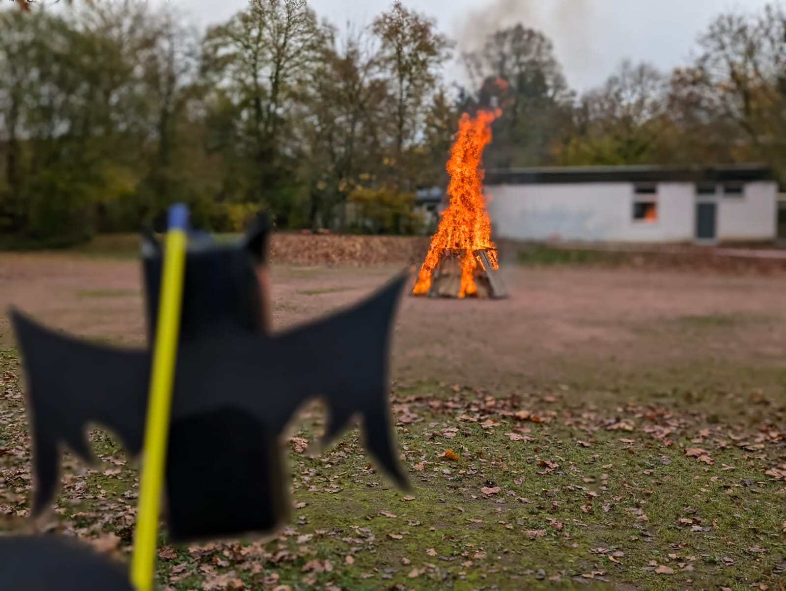 Martinsfeuer%202024 Martinsfeuer%202024